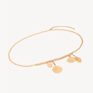 ✨ CHLOE seashell belt